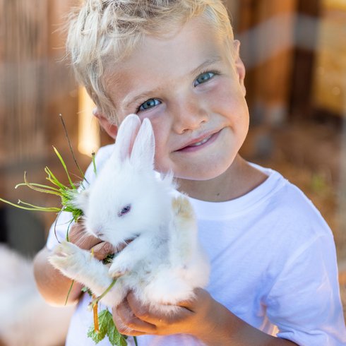 Smaragdhotel Tauernblick – Ihr 4-Sterne-Hotel am Wildkogel Smaragdhotel Tauernblick – Ihr 4-Sterne-Hotel am Wildkogel