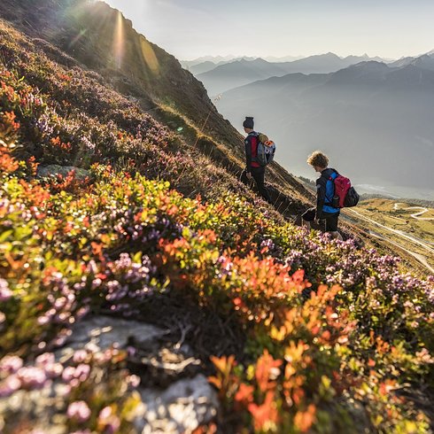 Smaragdhotel Tauernblick – Ihr 4-Sterne-Hotel am Wildkogel Zwei Wanderer steigen im Sonnenlicht einen blumenbedeckten Berghang hinauf mit Bergpanorama